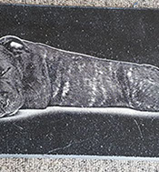 dog headstone